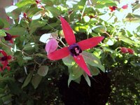 photos 2000-200902614